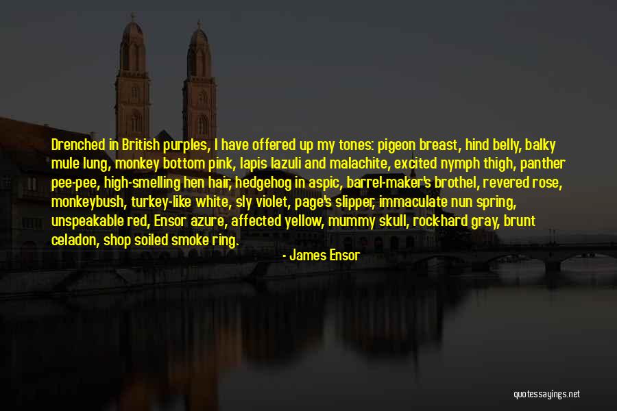Nun Quotes By James Ensor Nun Quotes By James Ensor