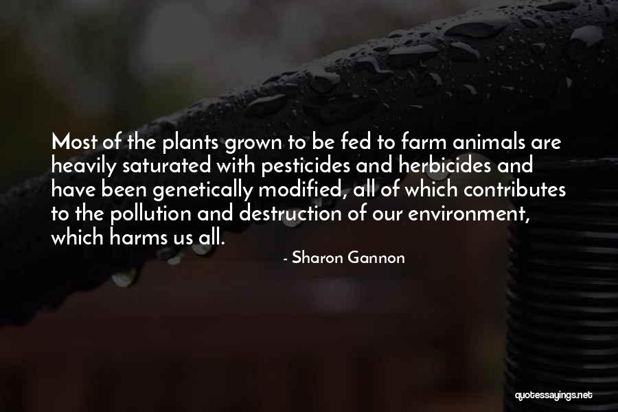 Nunca Me Amo Quotes By Sharon Gannon Nunca Me Amo Quotes By Sharon Gannon