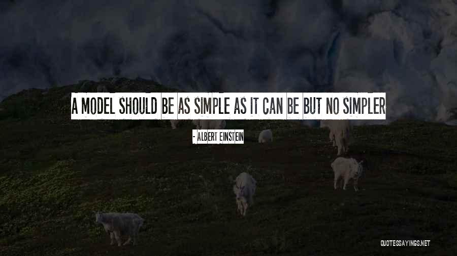 Nunca Sapo Quotes By Albert Einstein Nunca Sapo Quotes By Albert Einstein