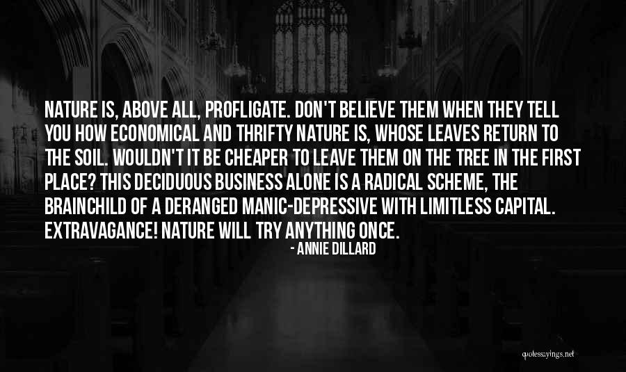 Nunie Music Artist Quotes By Annie Dillard Nunie Music Artist Quotes By Annie Dillard