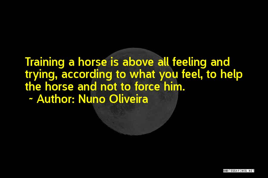 Nuno Oliveira Quotes 1609733