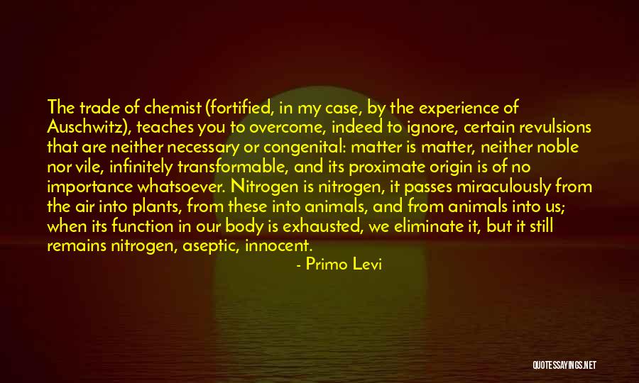 Nuotiolaulu Quotes By Primo Levi Nuotiolaulu Quotes By Primo Levi