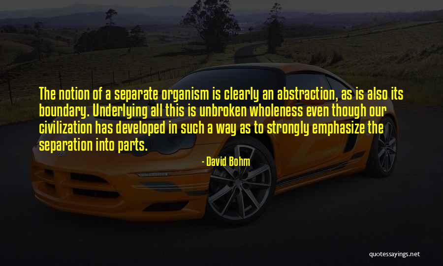 Nuoto Extremo Quotes By David Bohm Nuoto Extremo Quotes By David Bohm