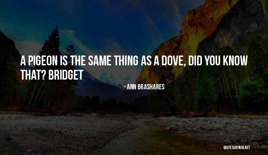Nuray Botched Quotes By Ann Brashares Nuray Botched Quotes By Ann Brashares