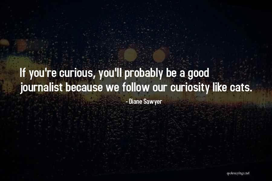 Nurdan Genc Quotes By Diane Sawyer Nurdan Genc Quotes By Diane Sawyer