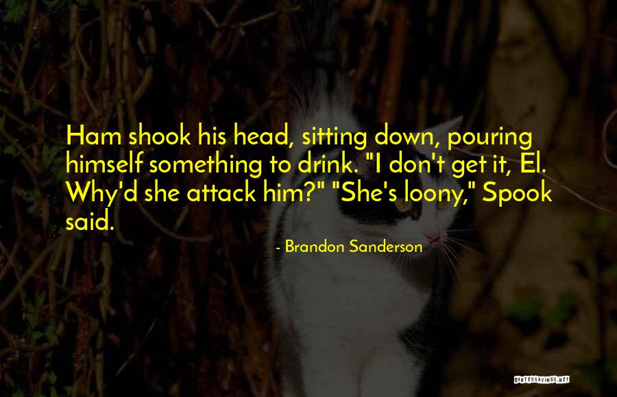 Nurovirius Quotes By Brandon Sanderson Nurovirius Quotes By Brandon Sanderson