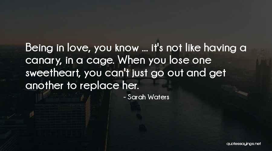 Nurovirius Quotes By Sarah Waters Nurovirius Quotes By Sarah Waters