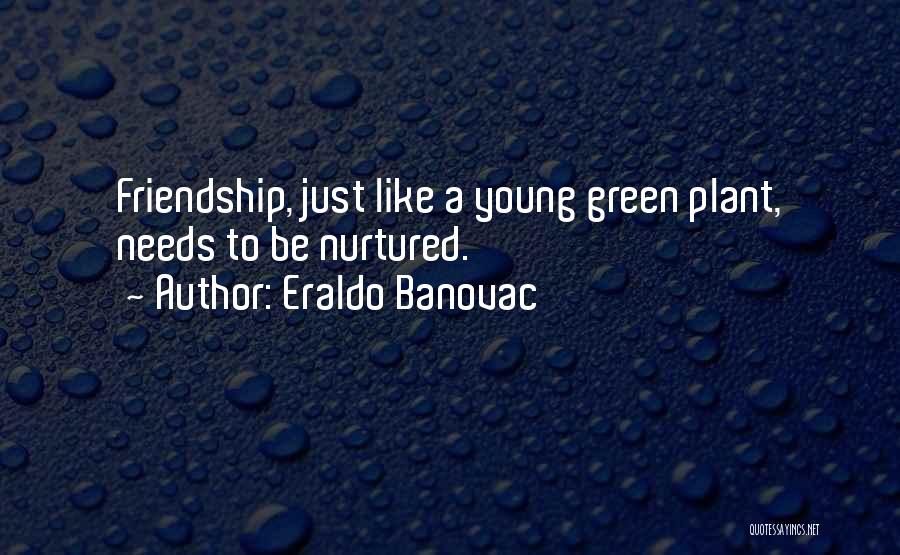 Nurtured Quotes By Eraldo Banovac