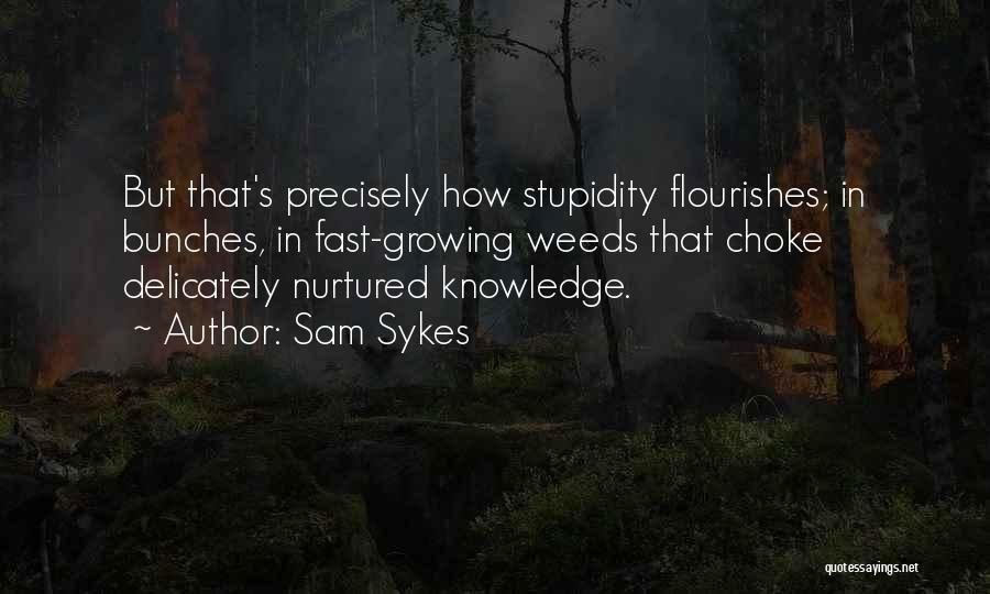 Nurtured Quotes By Sam Sykes