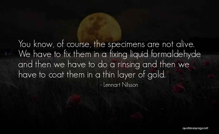 Nusches Quotes By Lennart Nilsson Nusches Quotes By Lennart Nilsson