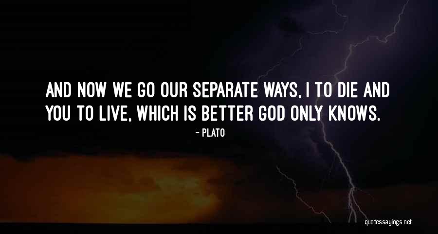 Nutrients In Avocado Quotes By Plato Nutrients In Avocado Quotes By Plato