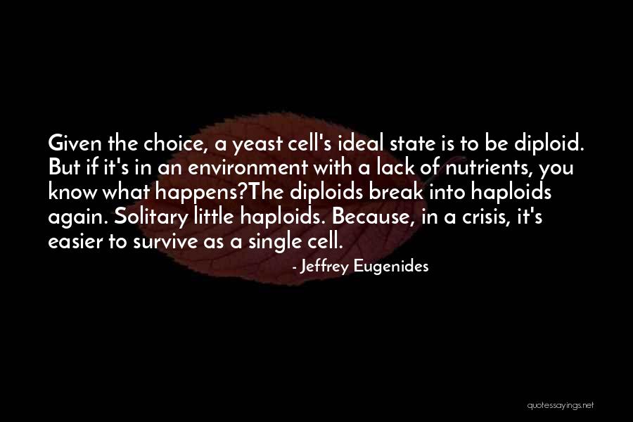 Nutrients In S Quotes By Jeffrey Eugenides Nutrients In S Quotes By Jeffrey Eugenides