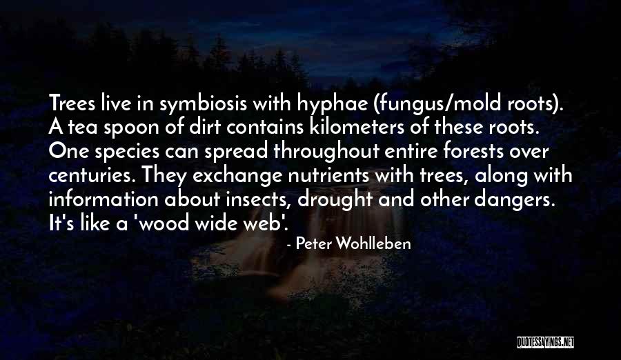 Nutrients In S Quotes By Peter Wohlleben Nutrients In S Quotes By Peter Wohlleben