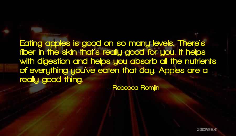 Nutrients Quotes By Rebecca Romijn