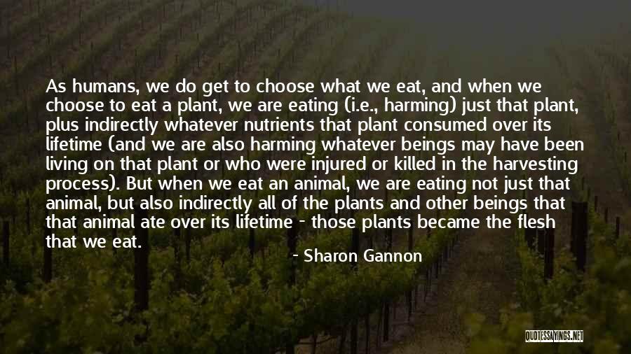 Nutrients Quotes By Sharon Gannon