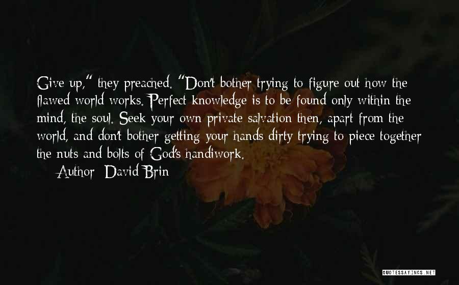 Nuts And Bolts Quotes By David Brin