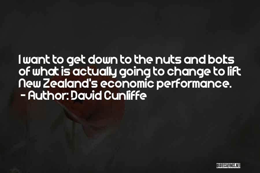 Nuts And Bolts Quotes By David Cunliffe