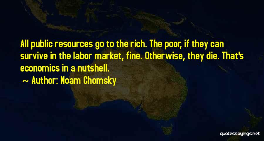 Nutshell Quotes By Noam Chomsky