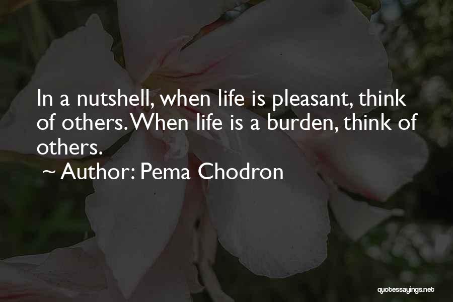 Nutshell Quotes By Pema Chodron
