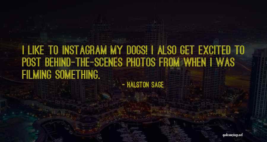 Nuvolari Tazio Quotes By Halston Sage Nuvolari Tazio Quotes By Halston Sage
