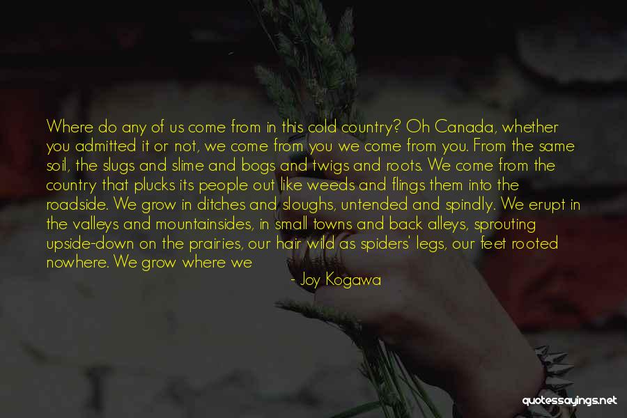 Nwakaibeya1 7086 Quotes By Joy Kogawa Nwakaibeya1 7086 Quotes By Joy Kogawa