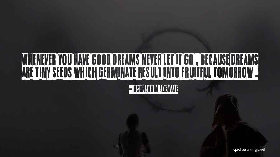 Nyang Nyang Quotes By Osunsakin Adewale Nyang Nyang Quotes By Osunsakin Adewale