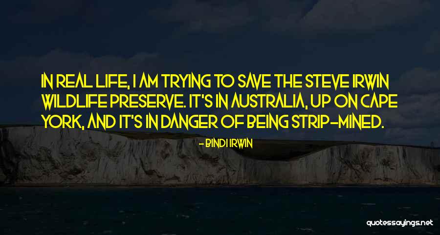 Nyanga Mountains Quotes By Bindi Irwin Nyanga Mountains Quotes By Bindi Irwin