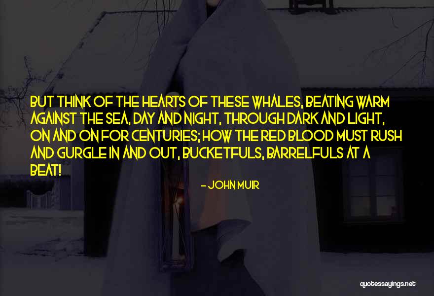 Nyarga Quotes By John Muir Nyarga Quotes By John Muir