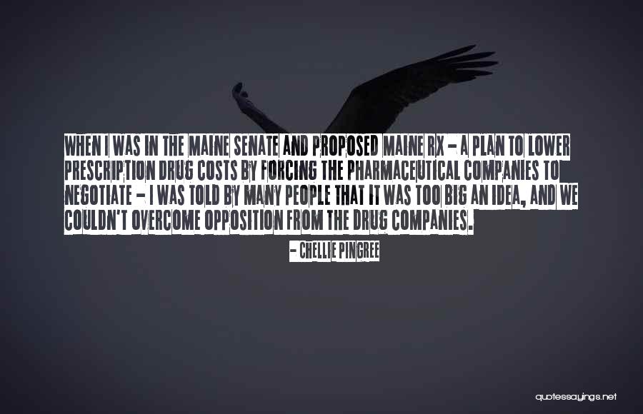 Nyashinski Quotes By Chellie Pingree Nyashinski Quotes By Chellie Pingree