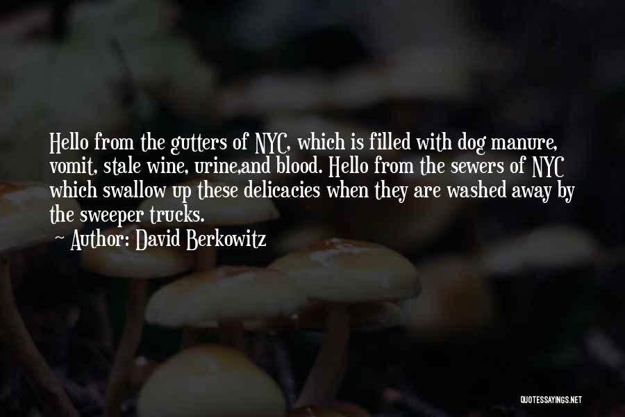 Nyc 9/11 Quotes By David Berkowitz