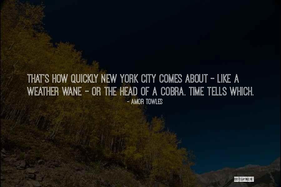 Nyc Quotes By Amor Towles Nyc Quotes By Amor Towles