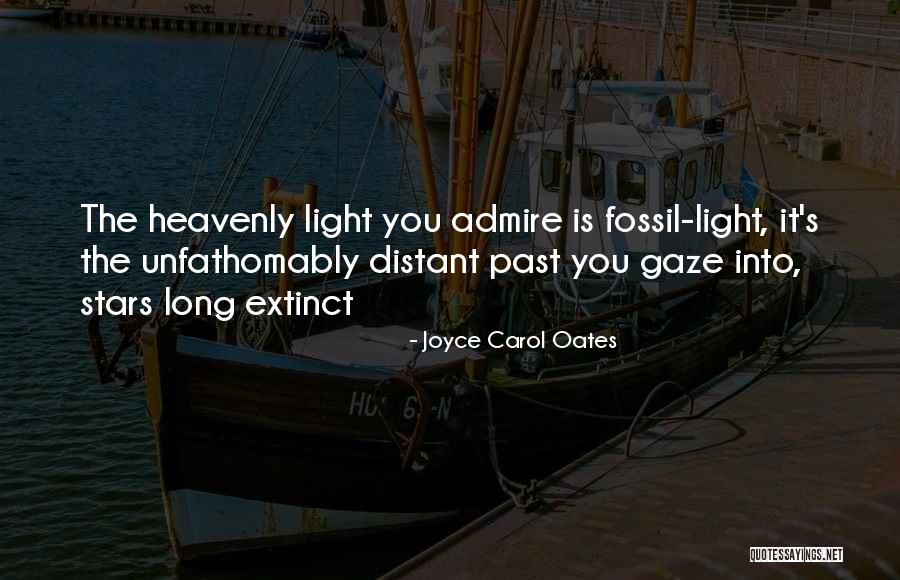 Nygren Surveying Quotes By Joyce Carol Oates Nygren Surveying Quotes By Joyce Carol Oates