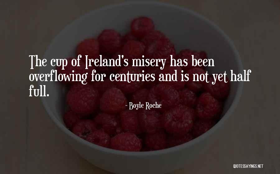 Nykvist Or Hedin Quotes By Boyle Roche Nykvist Or Hedin Quotes By Boyle Roche