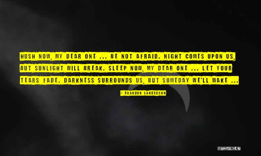 Nylon Fabric Quotes By Brandon Sanderson Nylon Fabric Quotes By Brandon Sanderson