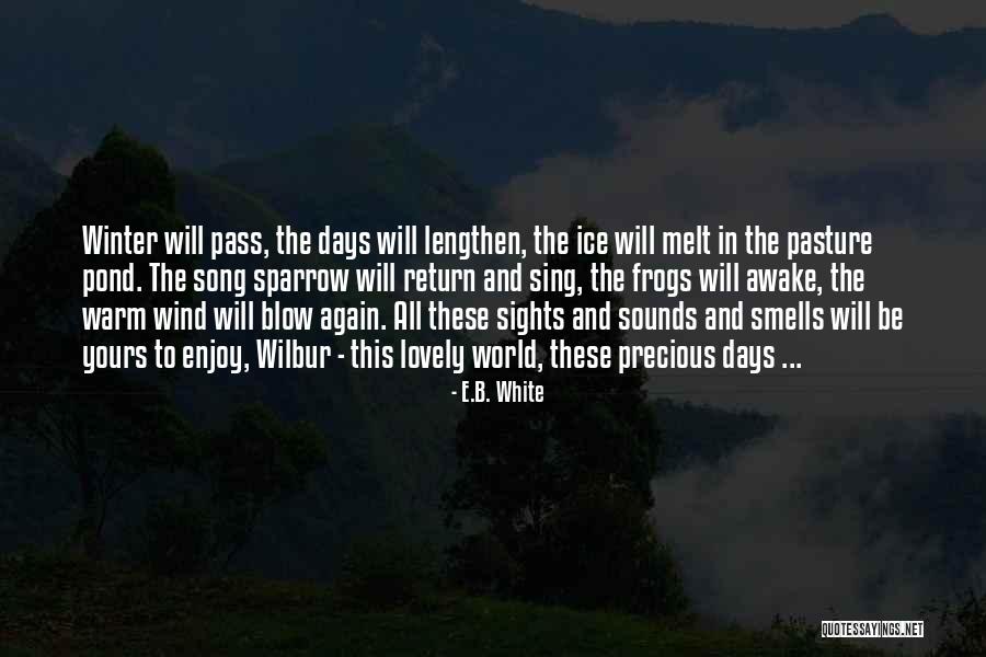 Nympha Clothing Quotes By E.B. White Nympha Clothing Quotes By E.B. White