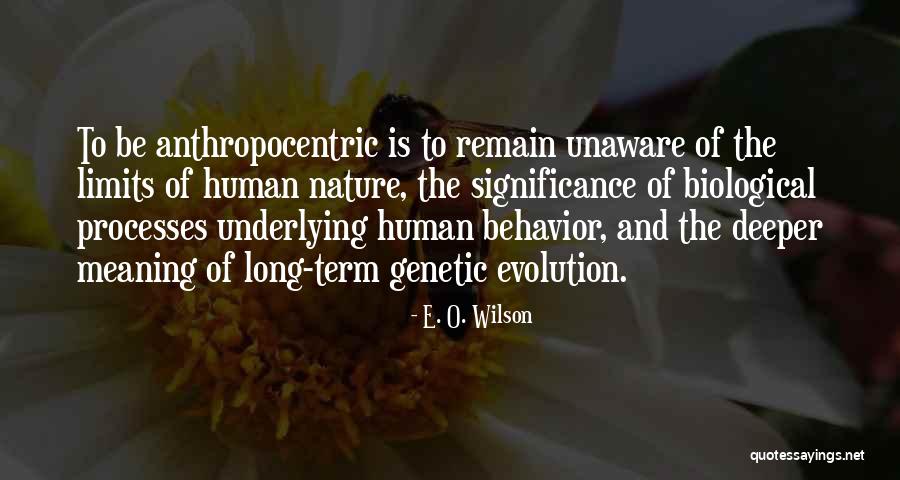 Nyogen Supplement Quotes By E. O. Wilson Nyogen Supplement Quotes By E. O. Wilson