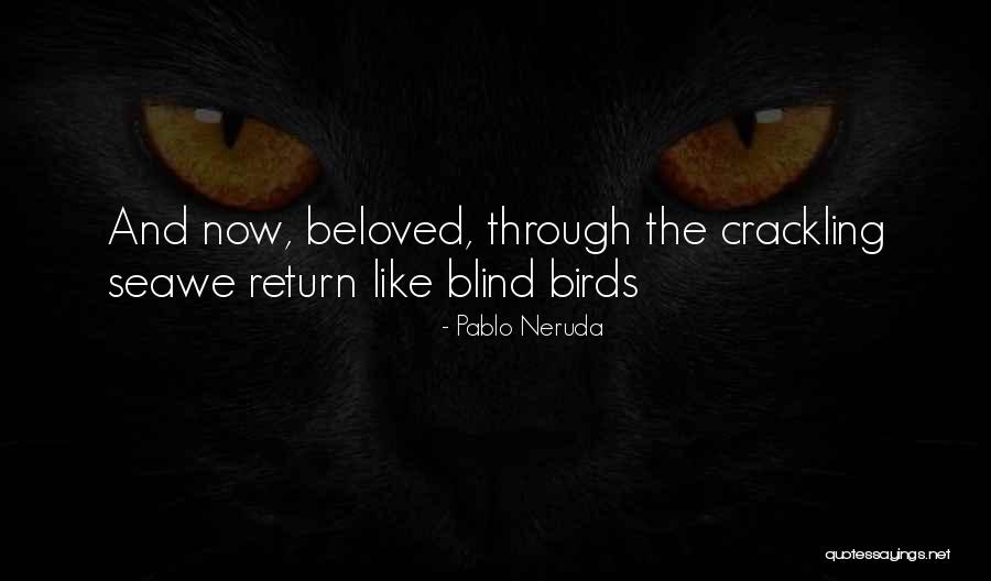 Nyuszi Quotes By Pablo Neruda Nyuszi Quotes By Pablo Neruda