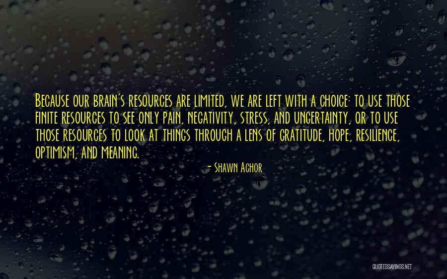 Nyuszt Quotes By Shawn Achor Nyuszt Quotes By Shawn Achor