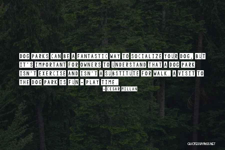 Nzhelele Quotes By Cesar Millan Nzhelele Quotes By Cesar Millan