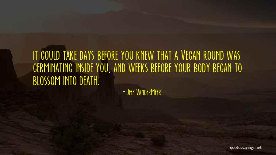 Nzululwazi High School Quotes By Jeff VanderMeer Nzululwazi High School Quotes By Jeff VanderMeer