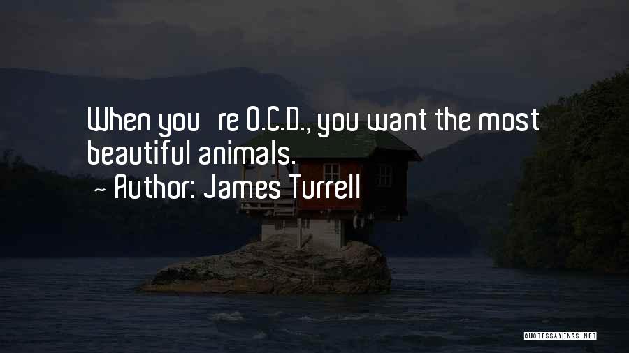 O.c.d Quotes By James Turrell