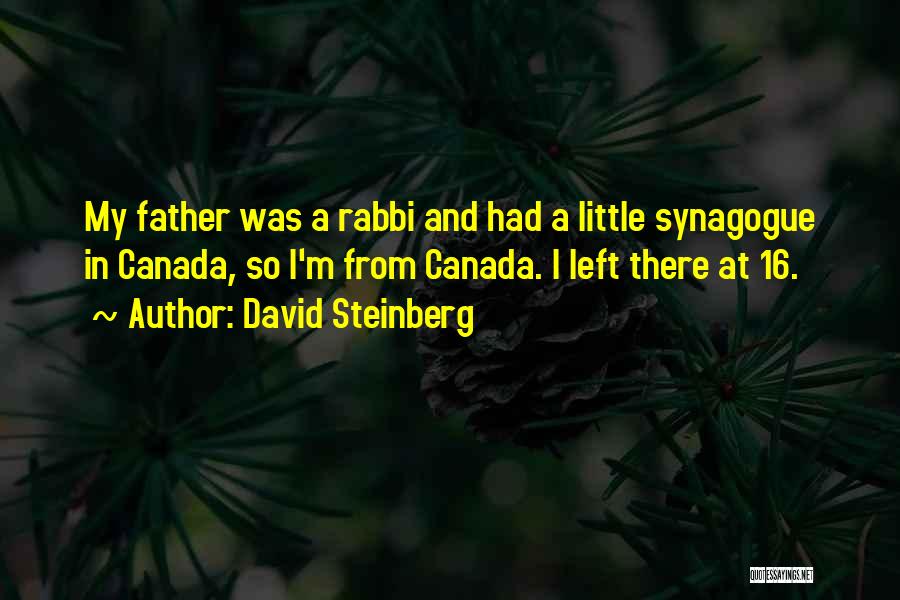 O Canada Quotes By David Steinberg