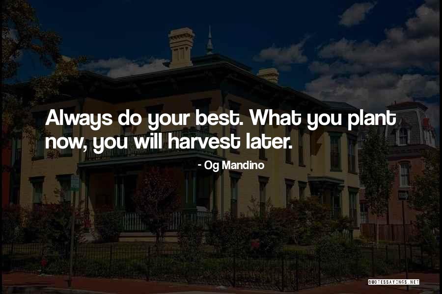 O G Mandino Quotes By Og Mandino O G Mandino Quotes By Og Mandino