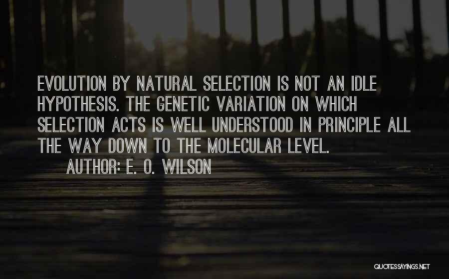 O Level Quotes By E. O. Wilson