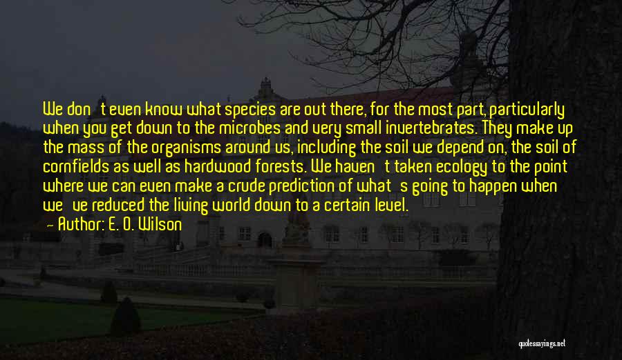 O Level Quotes By E. O. Wilson