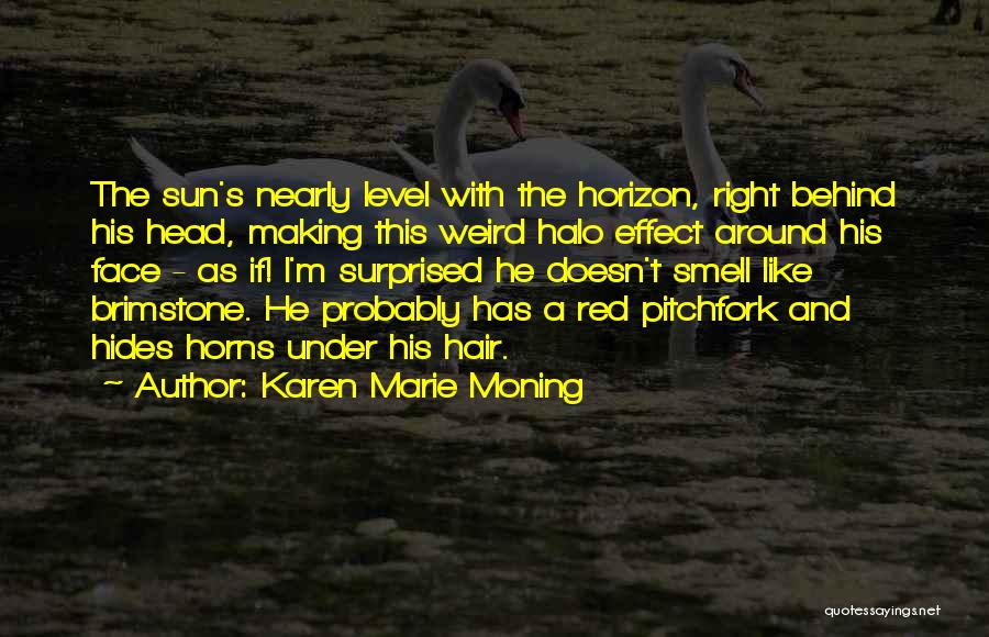 O Level Quotes By Karen Marie Moning