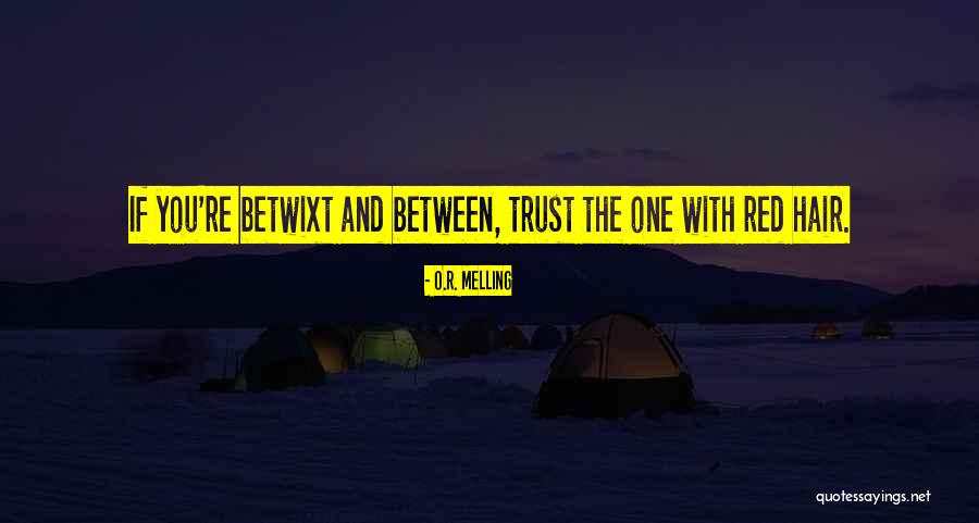 O.R. Melling Quotes 761562 O.R. Melling Quotes 761562