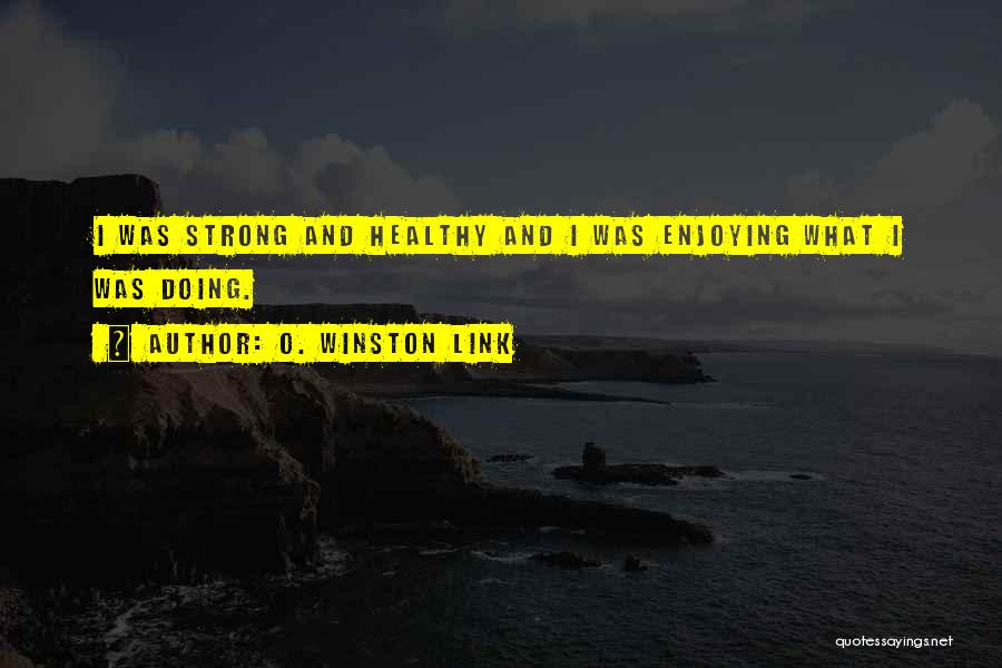 O. Winston Link Quotes 2181503