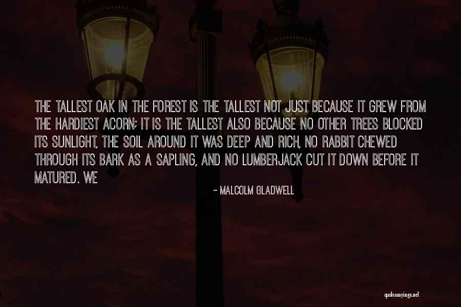 Oak Quotes By Malcolm Gladwell Oak Quotes By Malcolm Gladwell