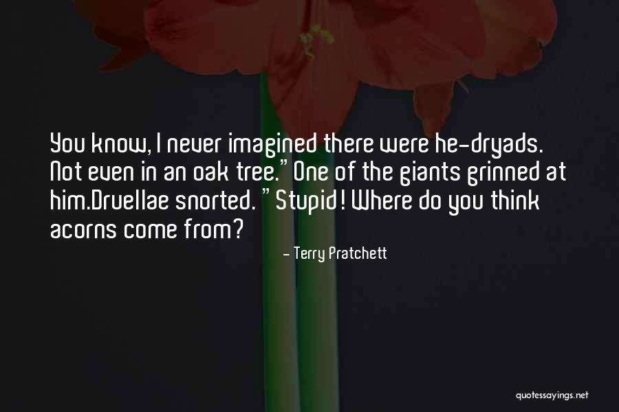 Oak Quotes By Terry Pratchett Oak Quotes By Terry Pratchett